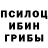 Псилоцибиновые грибы GOLDEN TEACHER Anastasia Amorena