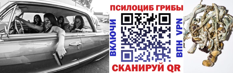 закладки Задонск МЕГА маркетплейс Галлюциногенные грибы GOLDEN TEACHER